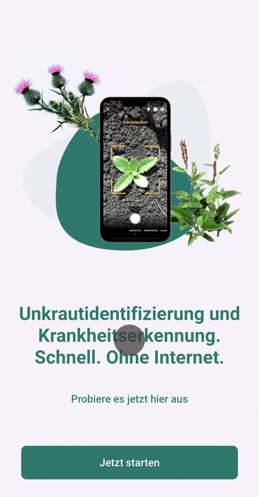 login ger.gif