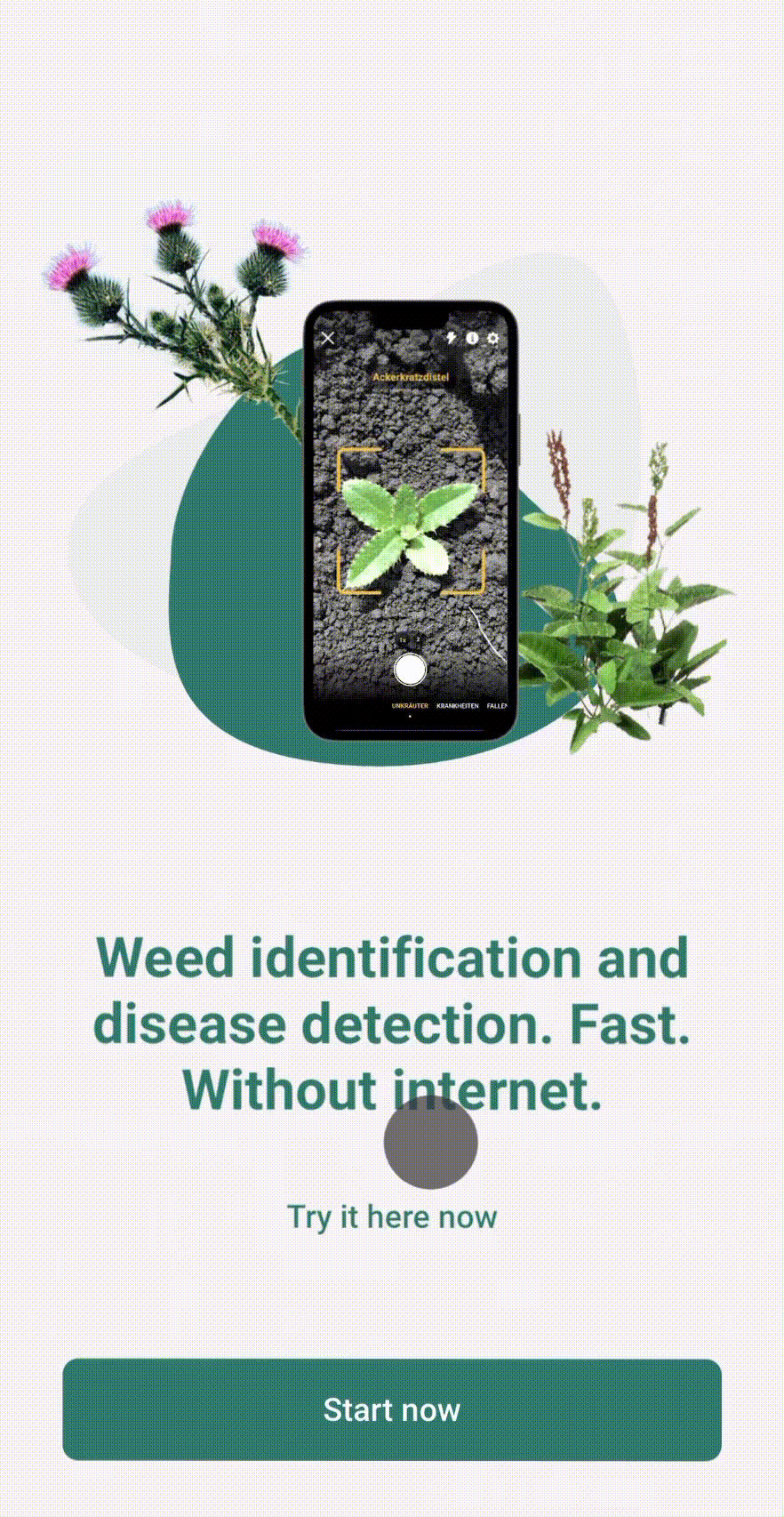 login eng.gif